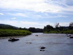 Deerfield River... somewhere around Charlemont, MA